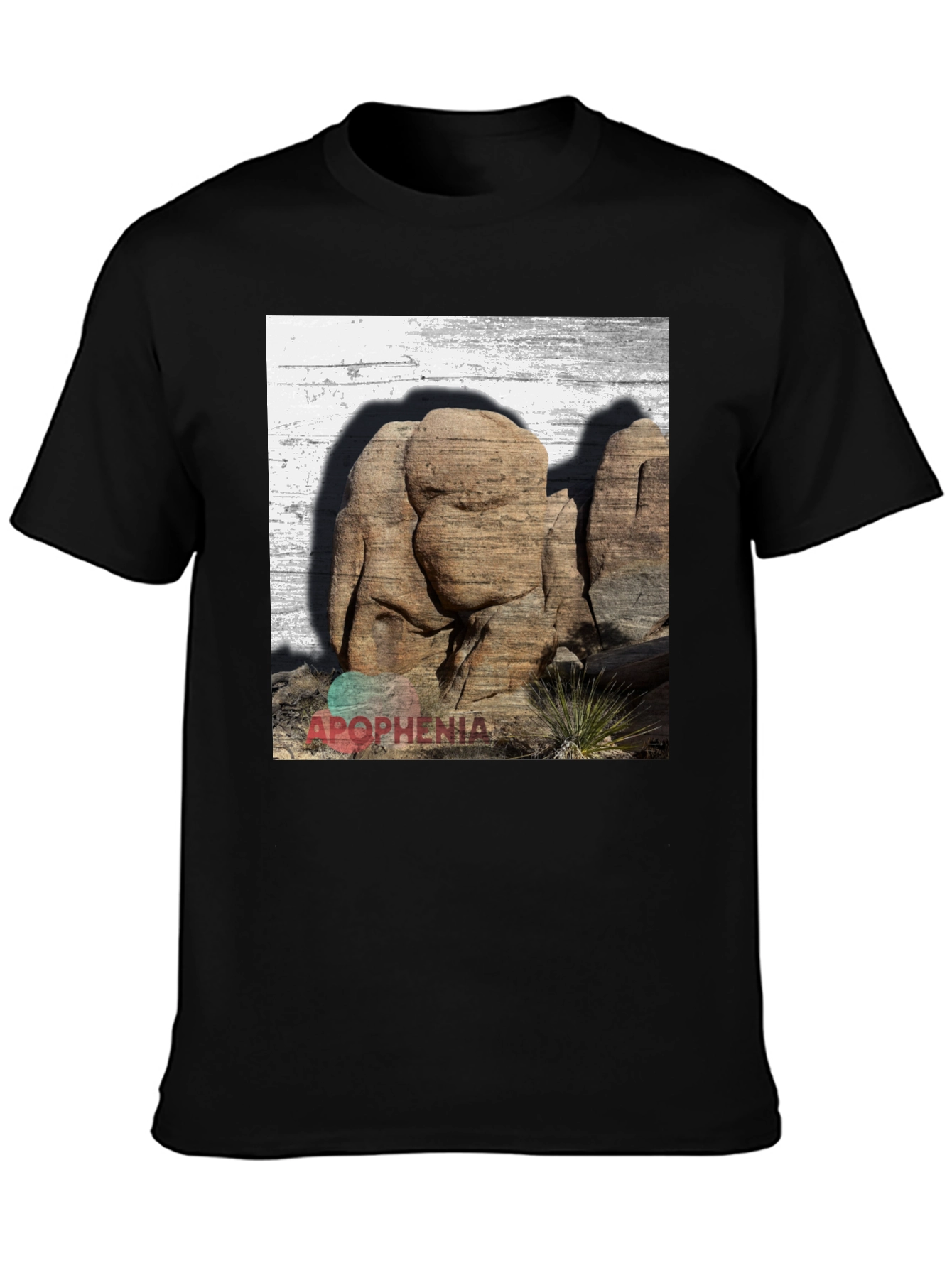 Apophenia Desert Rocks Graphic Tee - Black