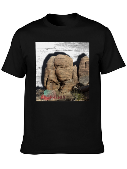 Apophenia Desert Rocks Graphic Tee - Black