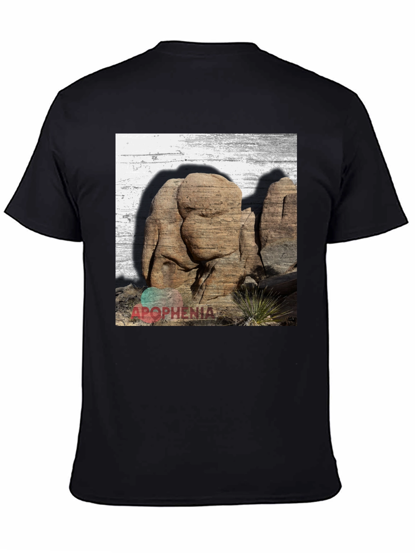 Apophenia Desert Rocks Graphic Tee - Black