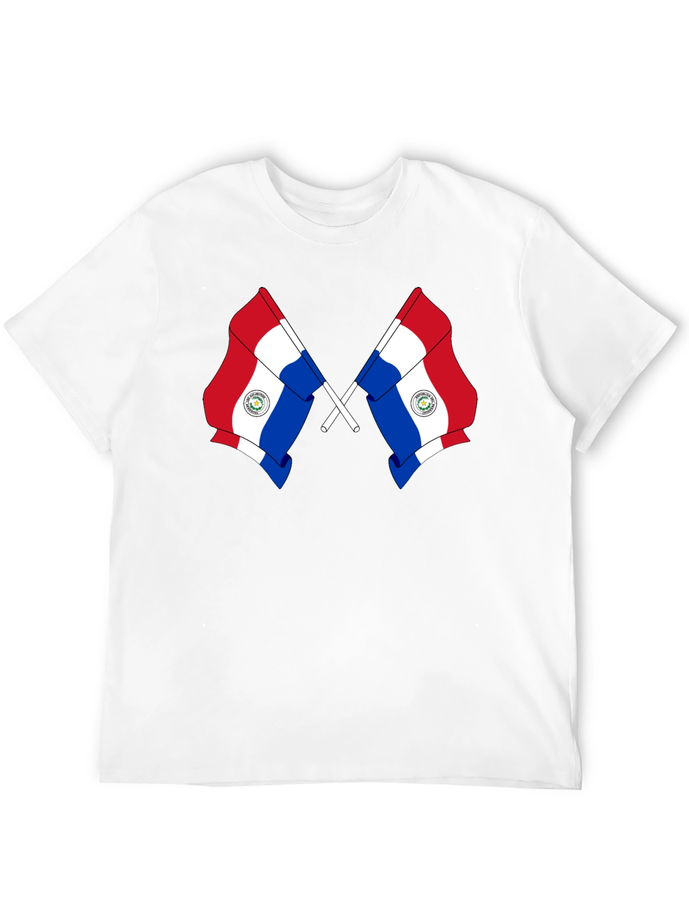 Paraguay Flag Graphic Tee - Black