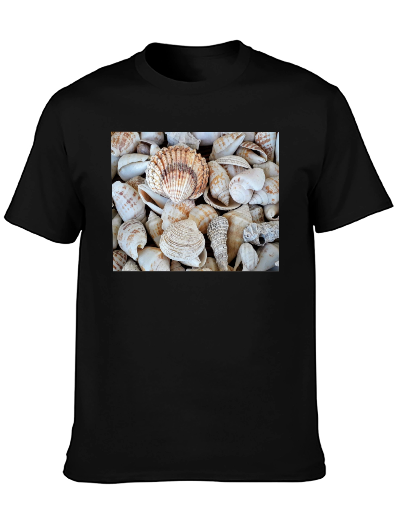 Seashell T-Shirt: Coastal Style