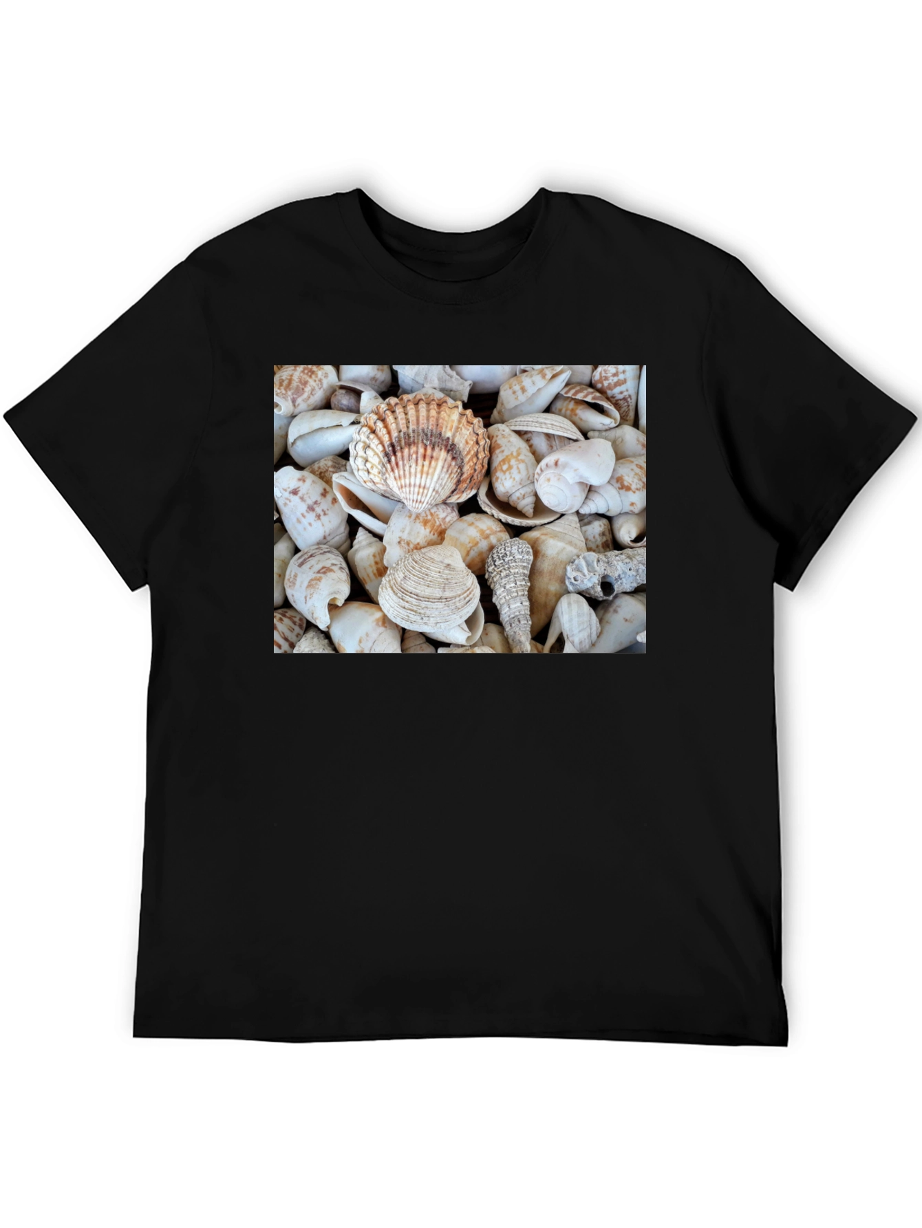 Seashell T-Shirt: Coastal Style