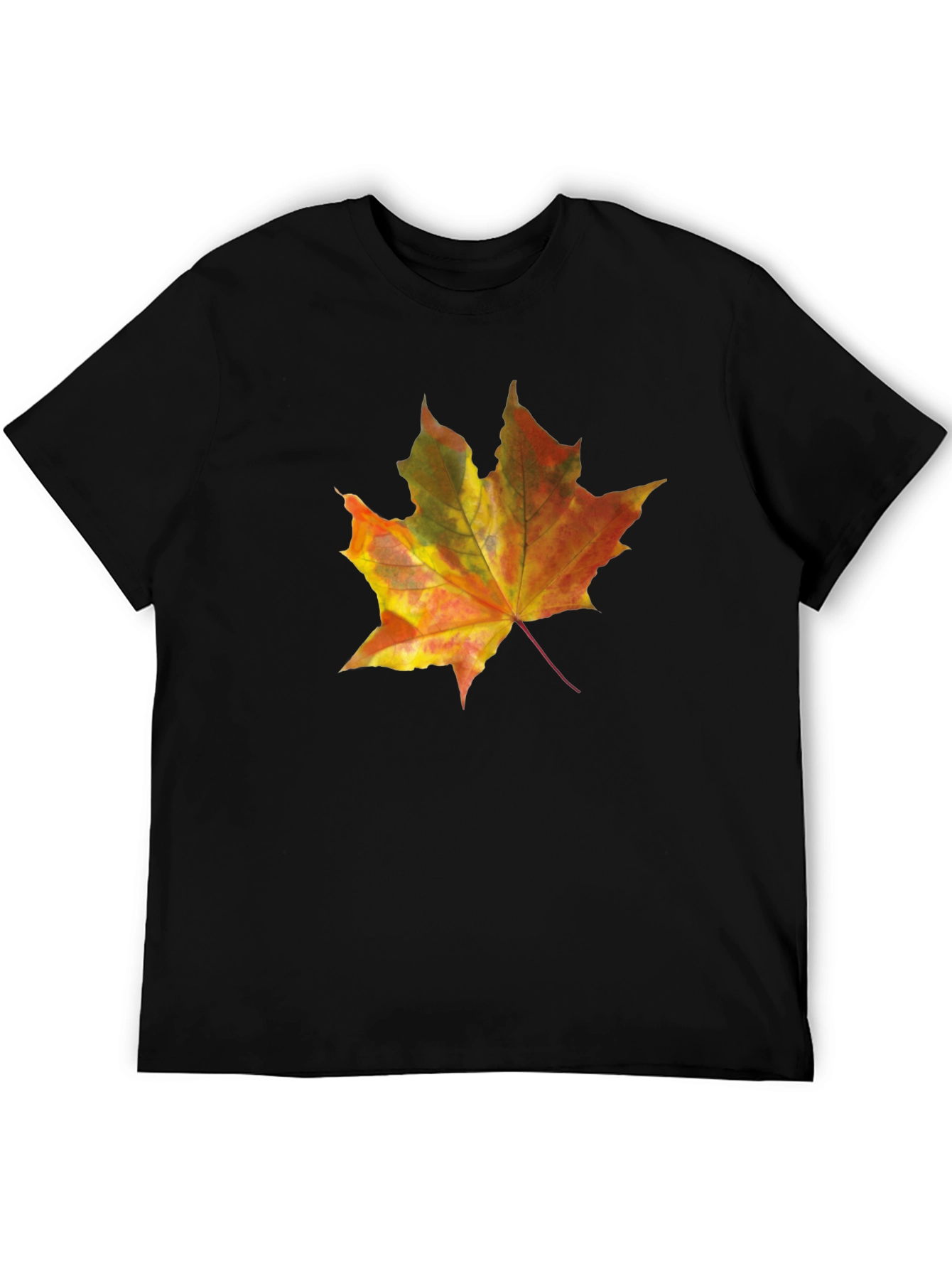 Autumn Leaf Graphic Tee - Mens Black T-Shirt