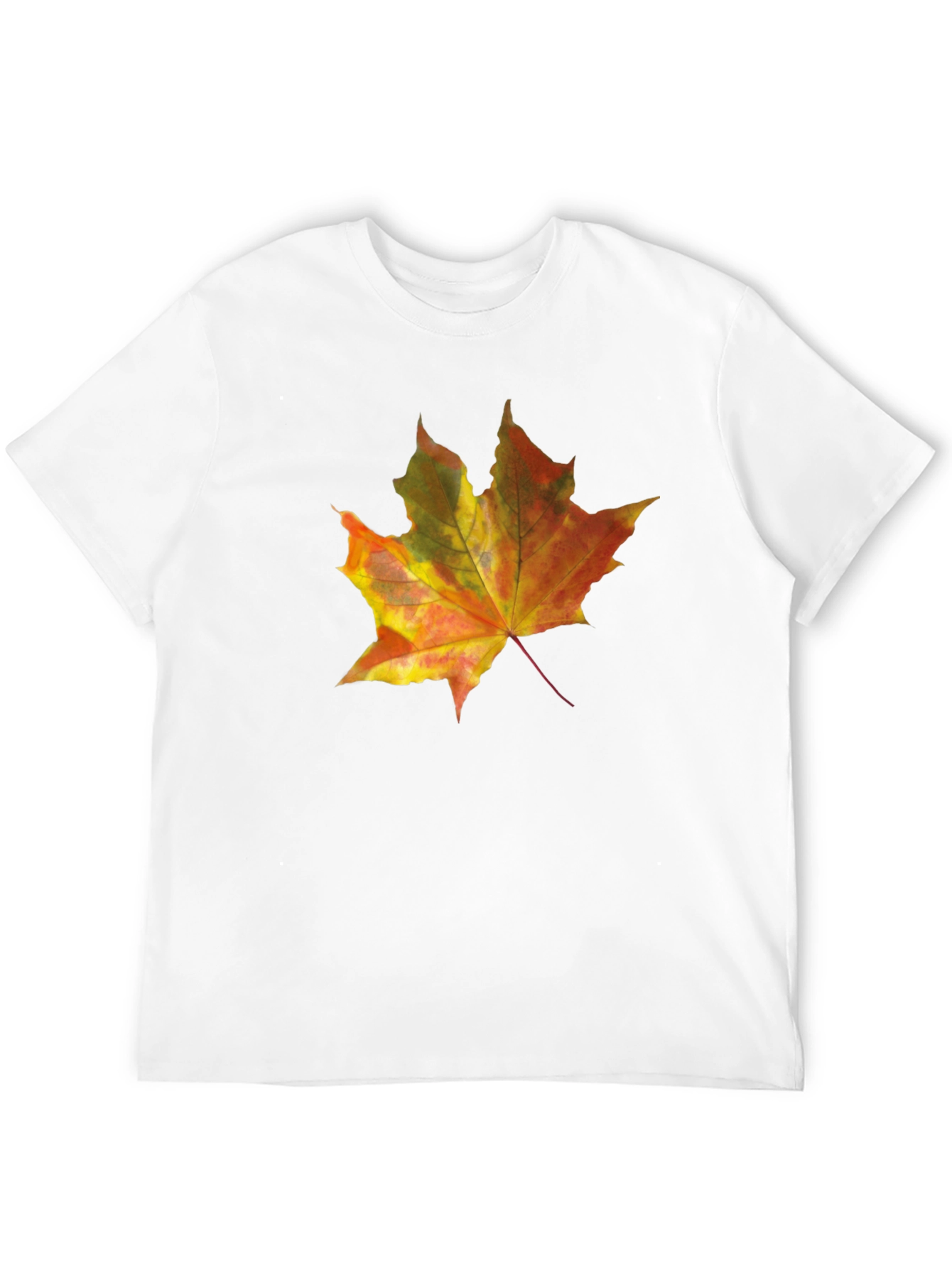 Autumn Leaf Graphic Tee - Mens Black T-Shirt