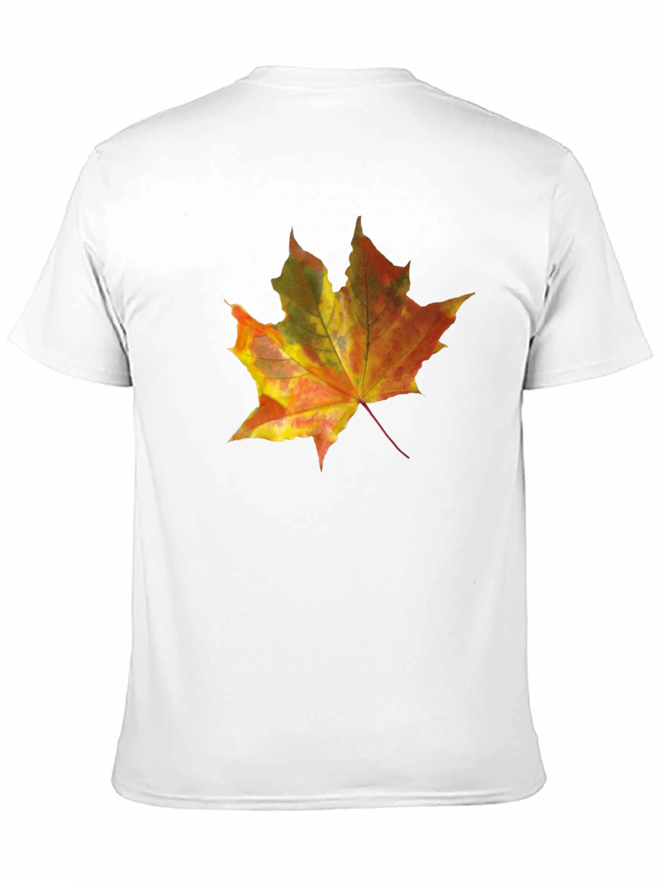 Autumn Leaf Graphic Tee - Mens Black T-Shirt