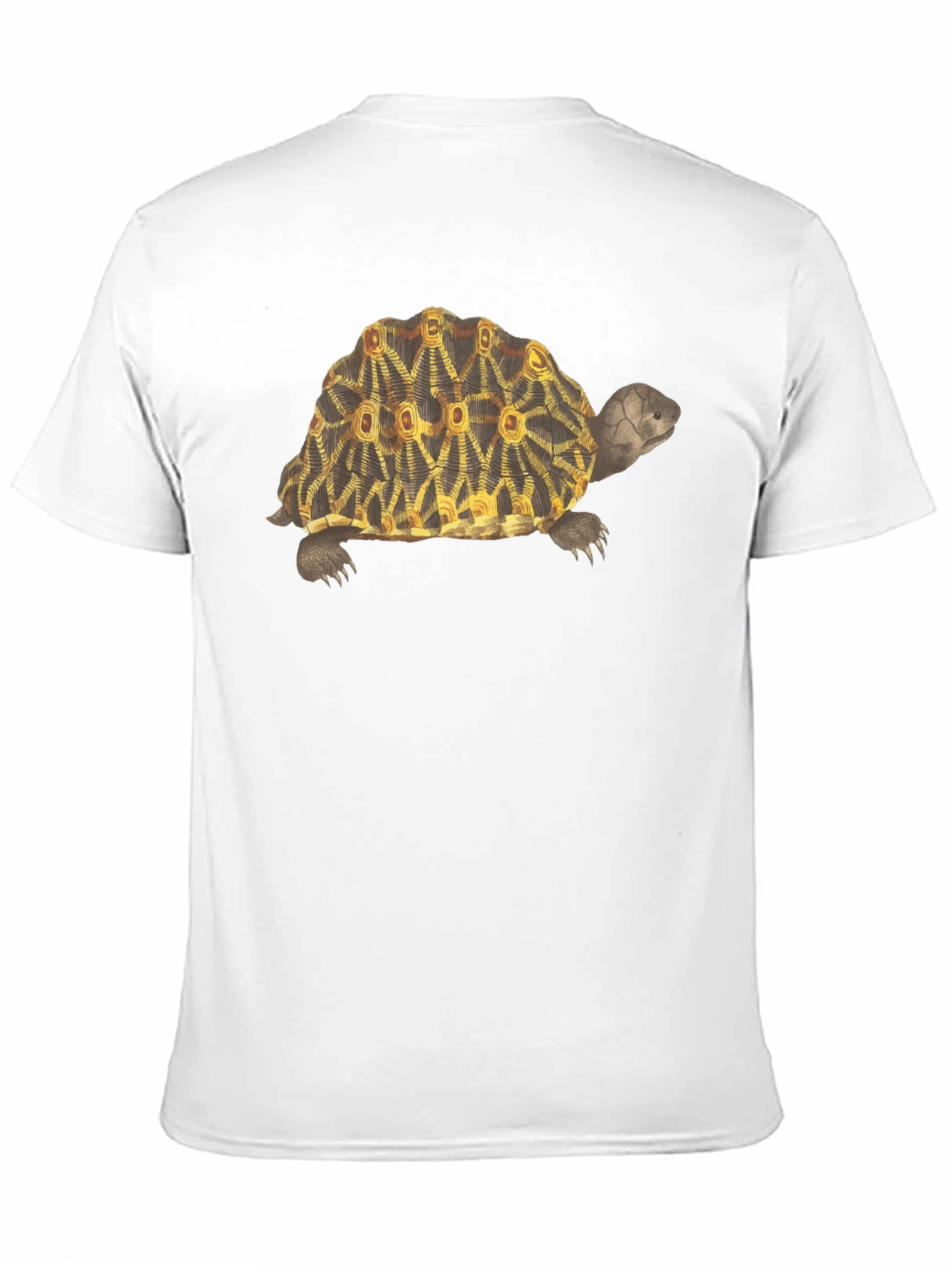 Turtle Graphic Tee - Stylish Black T-Shirt
