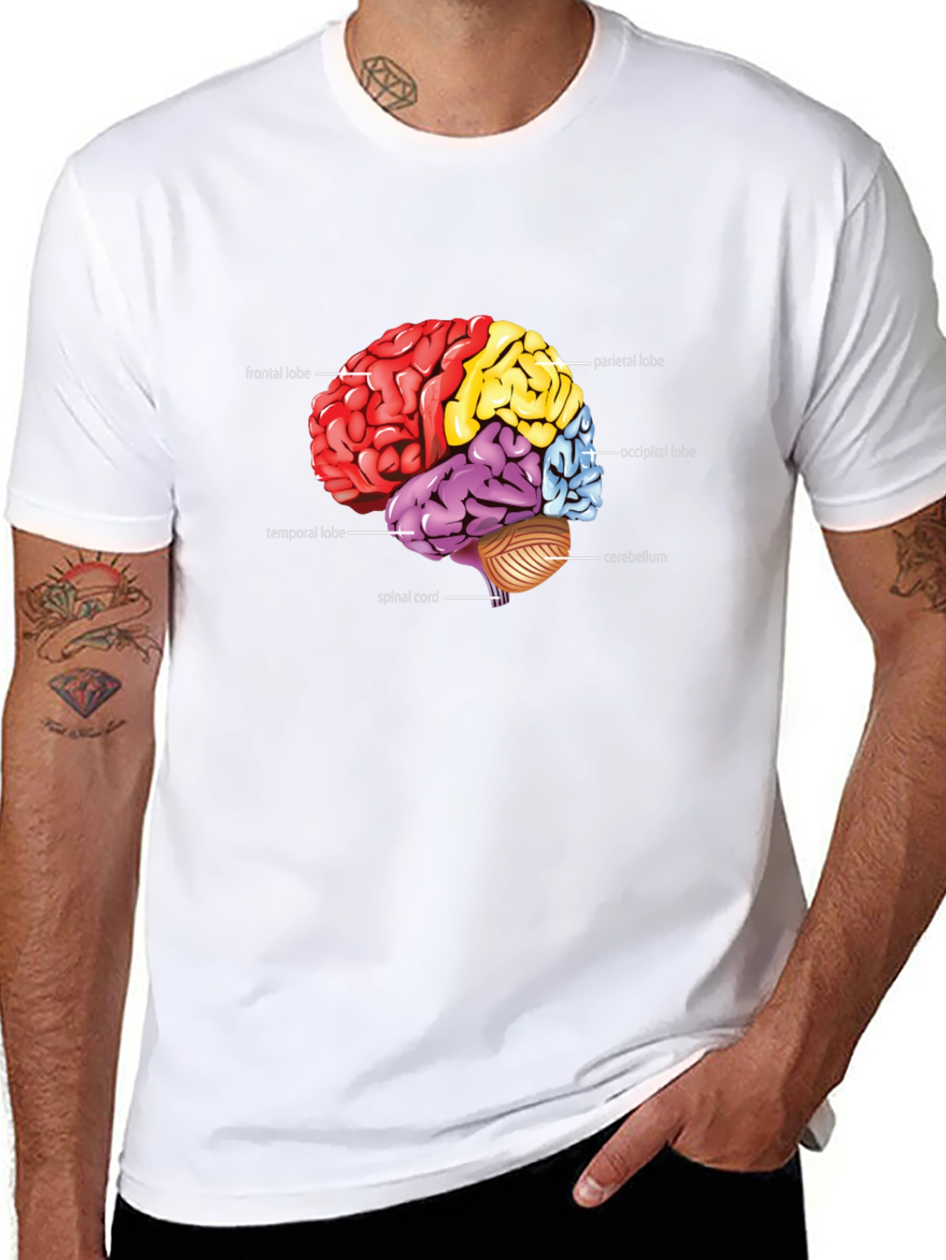 Anatomical Brain T-Shirt