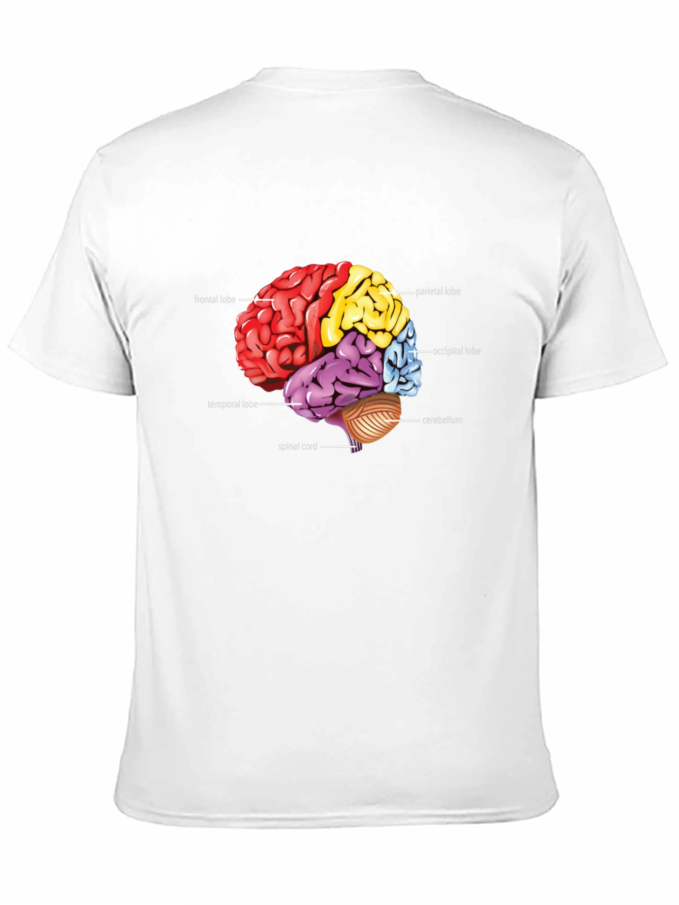 Anatomical Brain T-Shirt