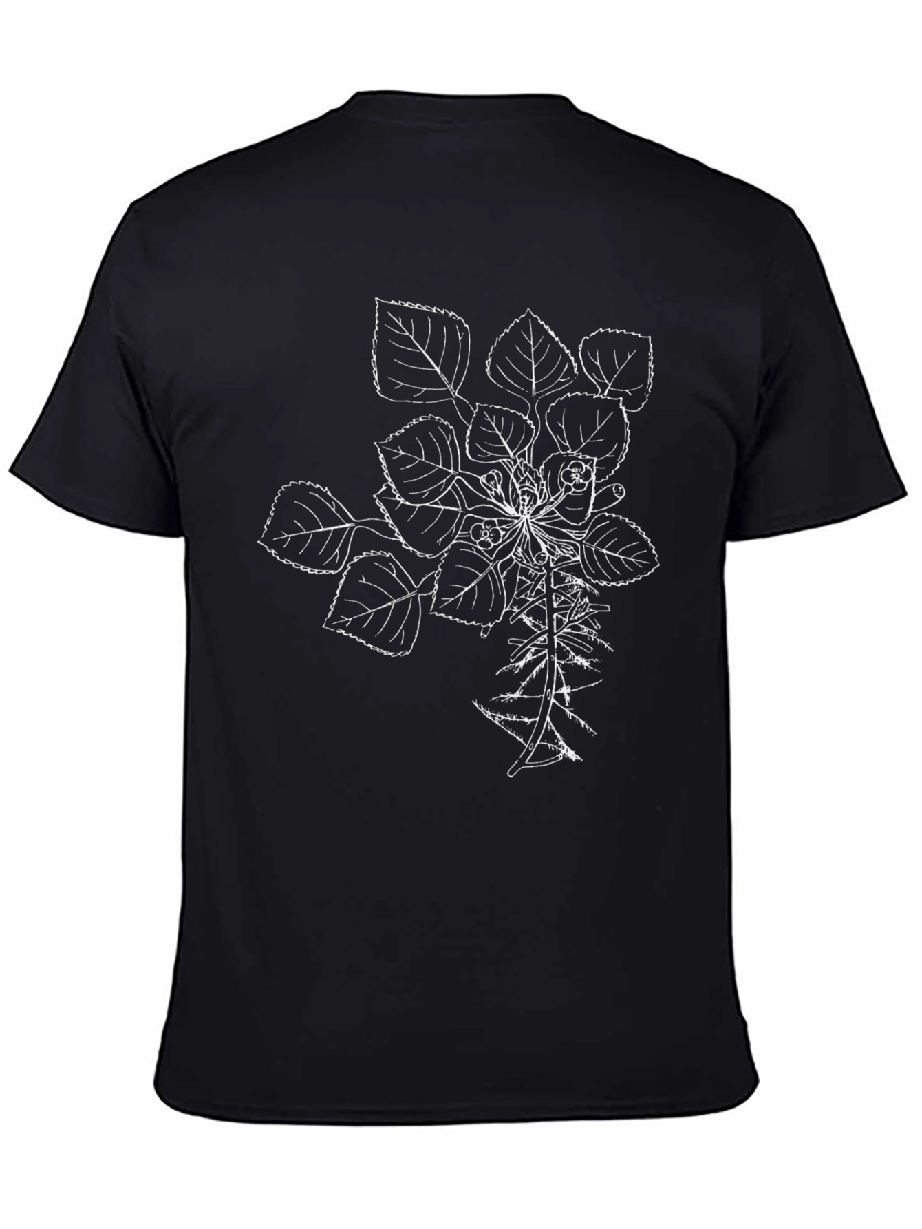 Botanical Line Art T-Shirt