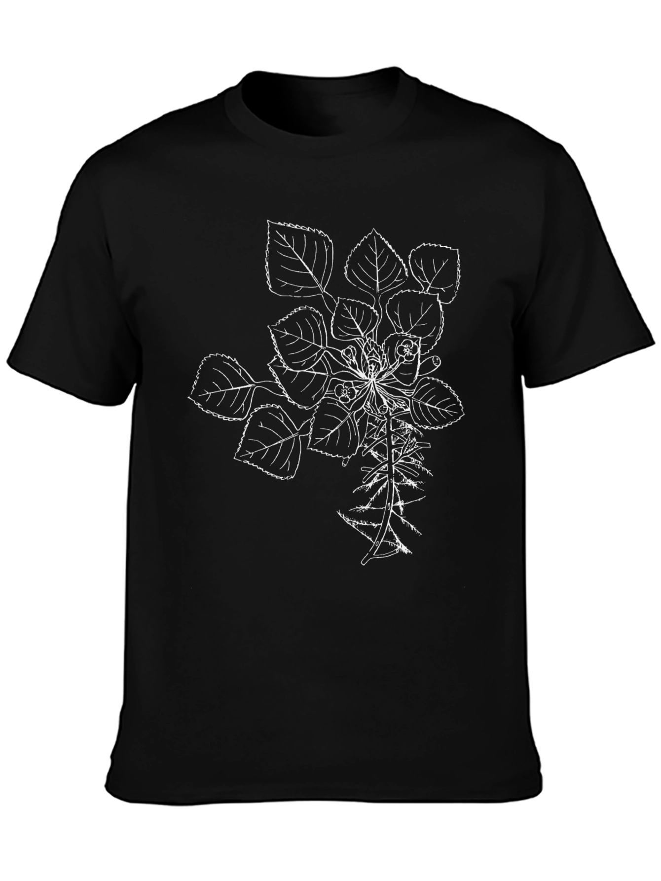 Botanical Line Art T-Shirt