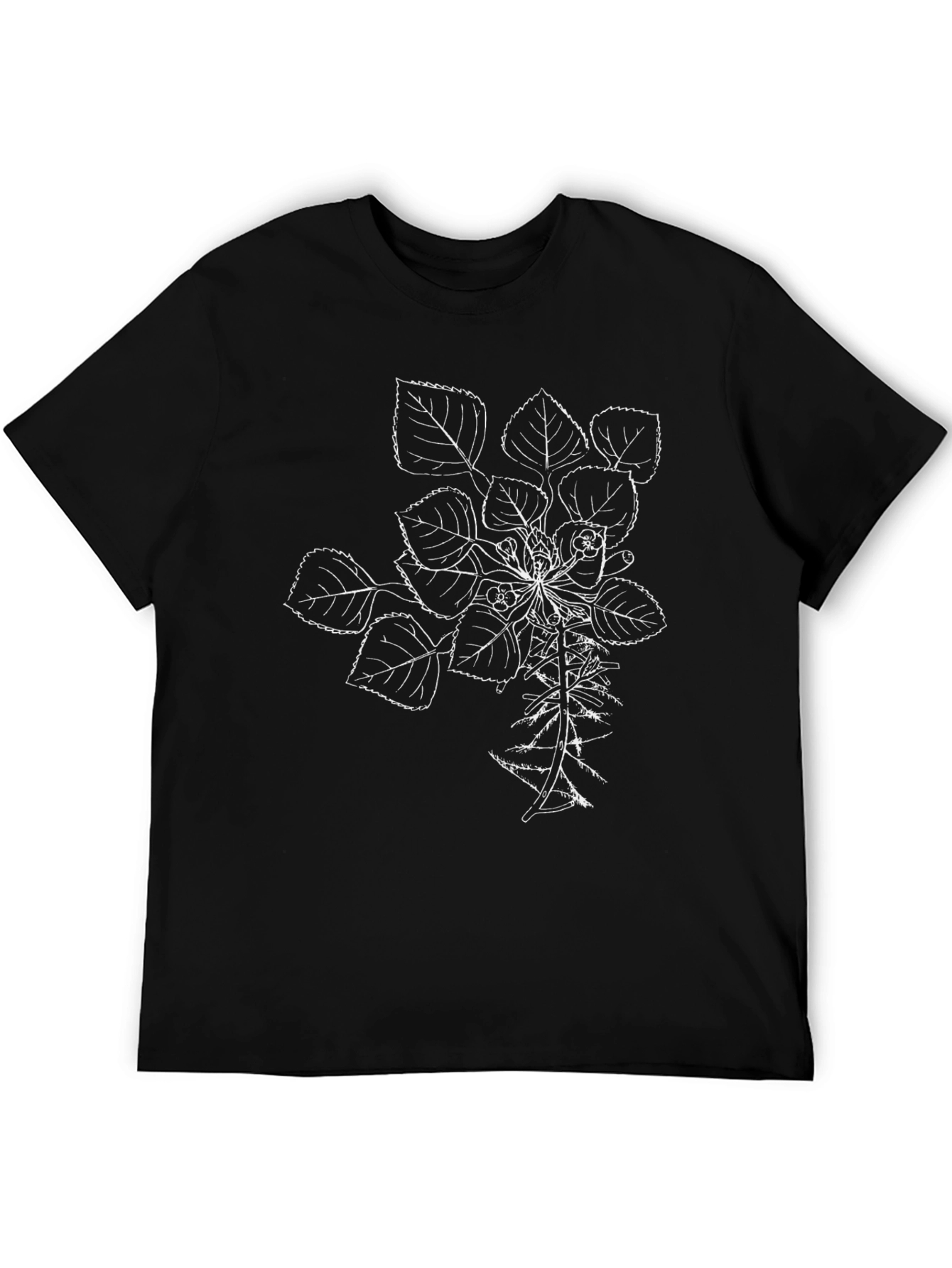 Botanical Line Art T-Shirt