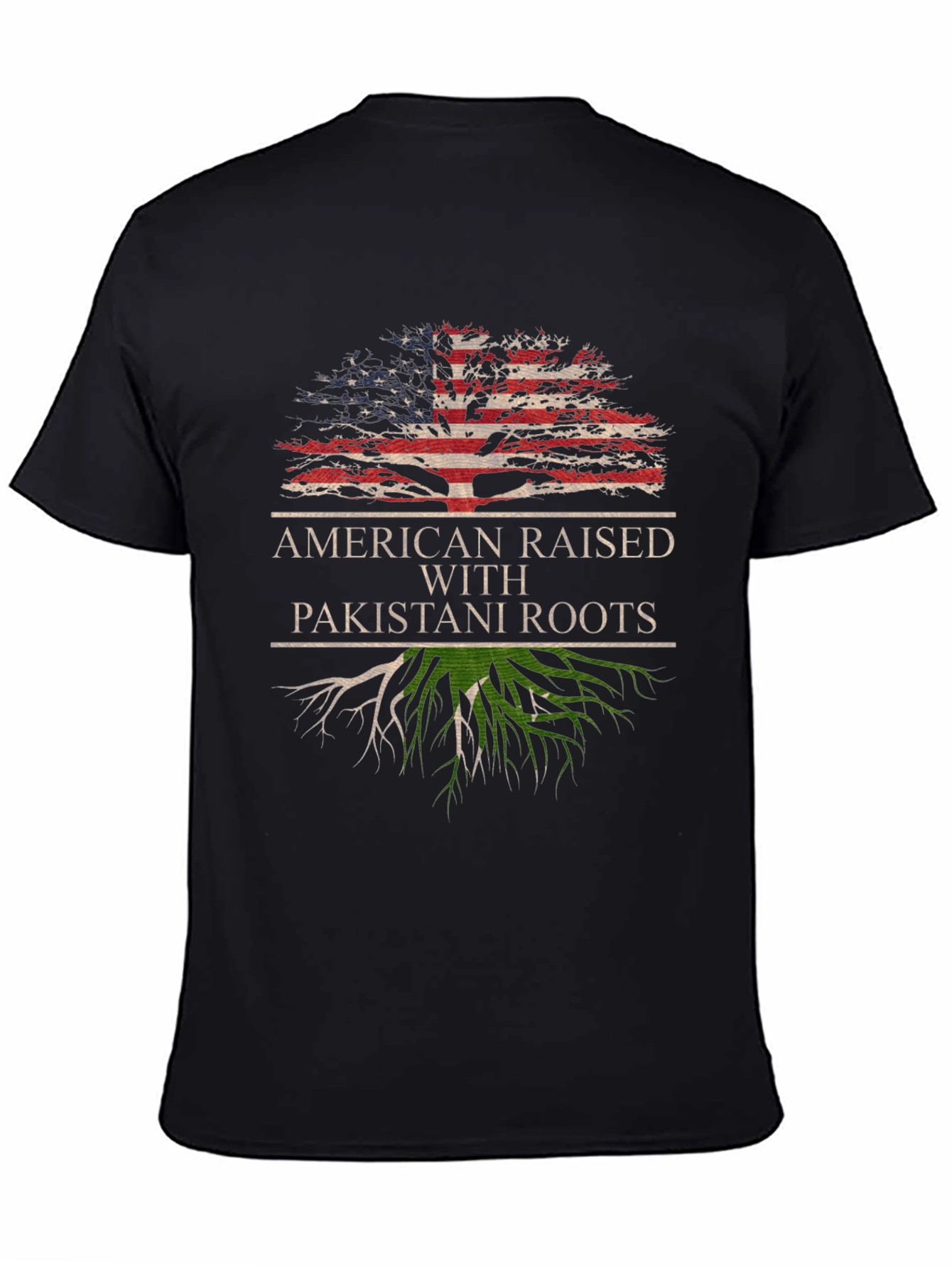 American Raised with Pakistani Roots T-Shirt