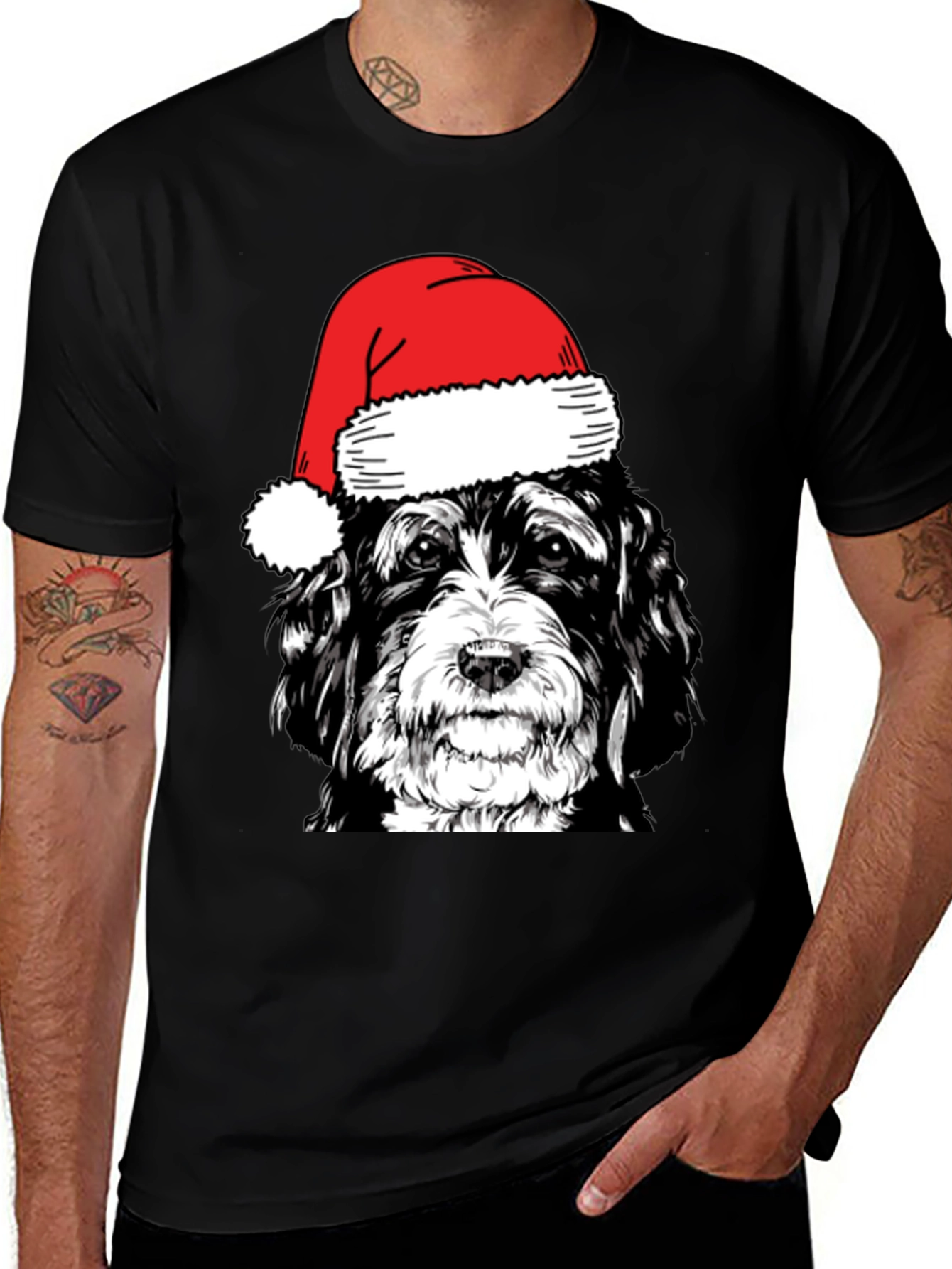 Festive Dog Santa Hat T-Shirt