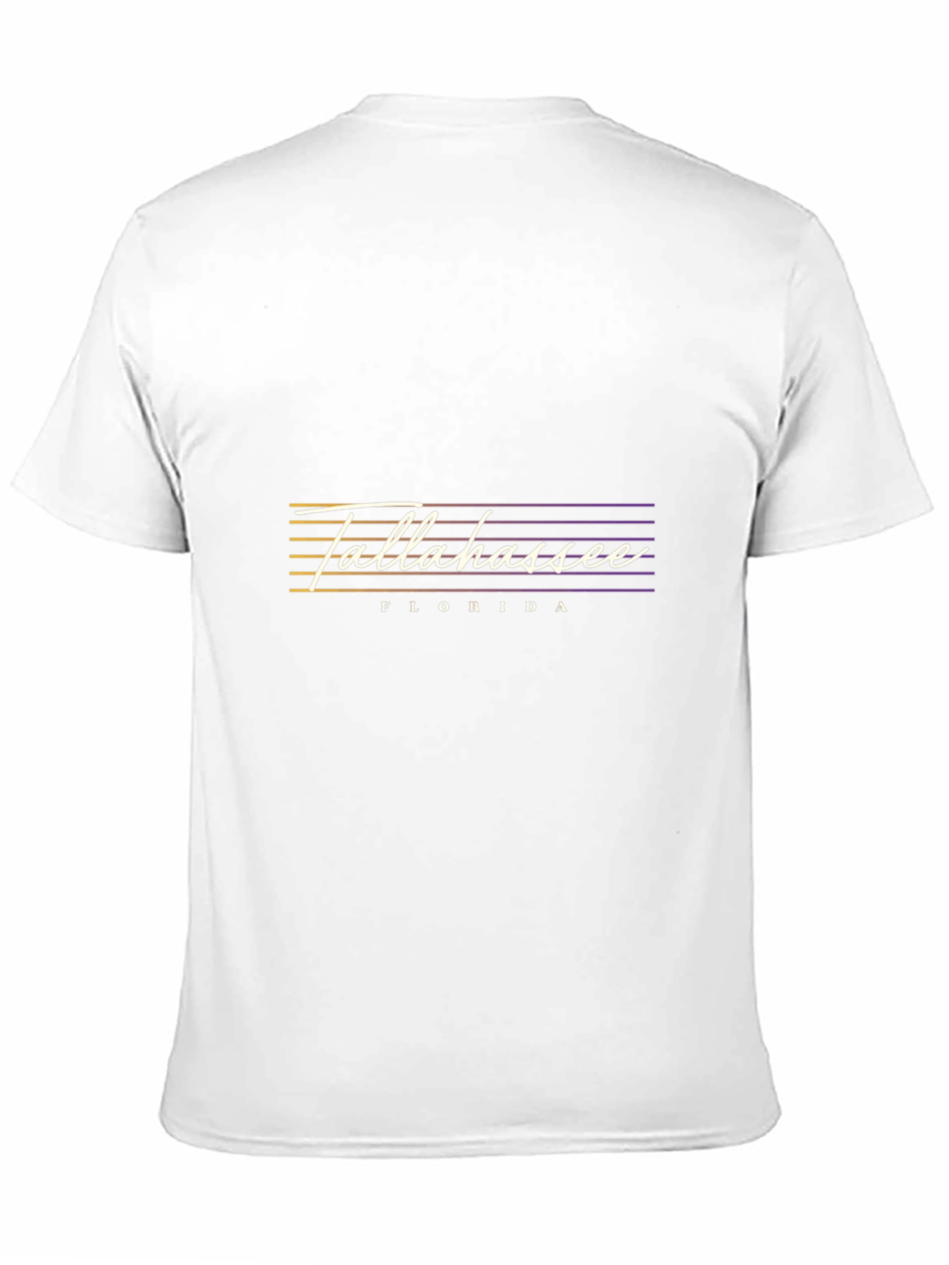 Tallahassee Florida Graphic Tee